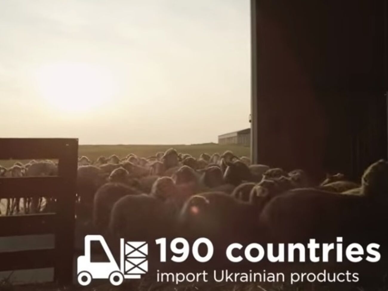 Украинское сельское хозяйство презентовали для всего мира