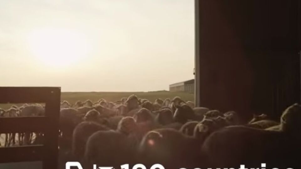 Украинское сельское хозяйство презентовали для всего мира