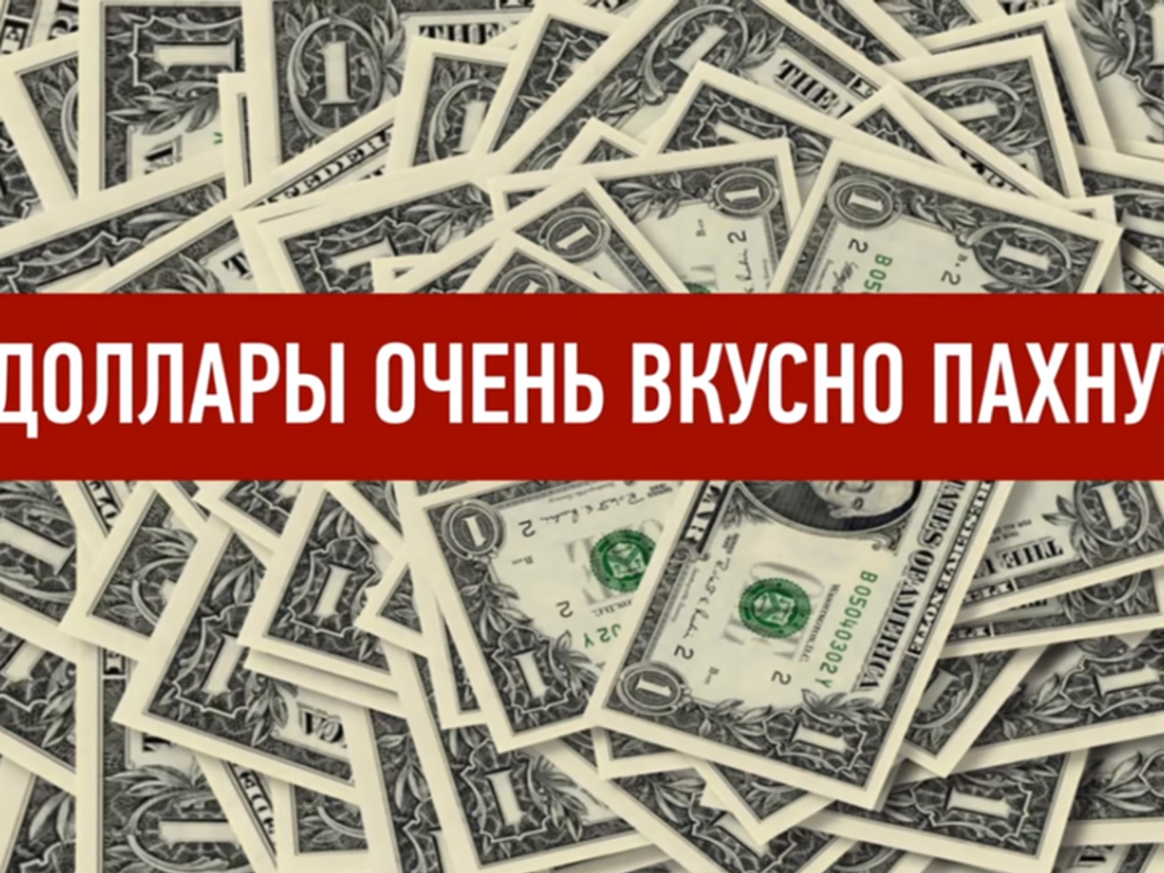 "Может, пора перестать быть наемником и стать защитником?" Кадр из ролика