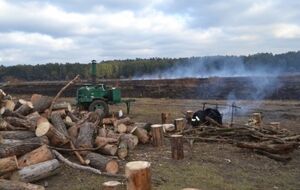 Спасатели продолжают бороться с пожарами в Киевской области