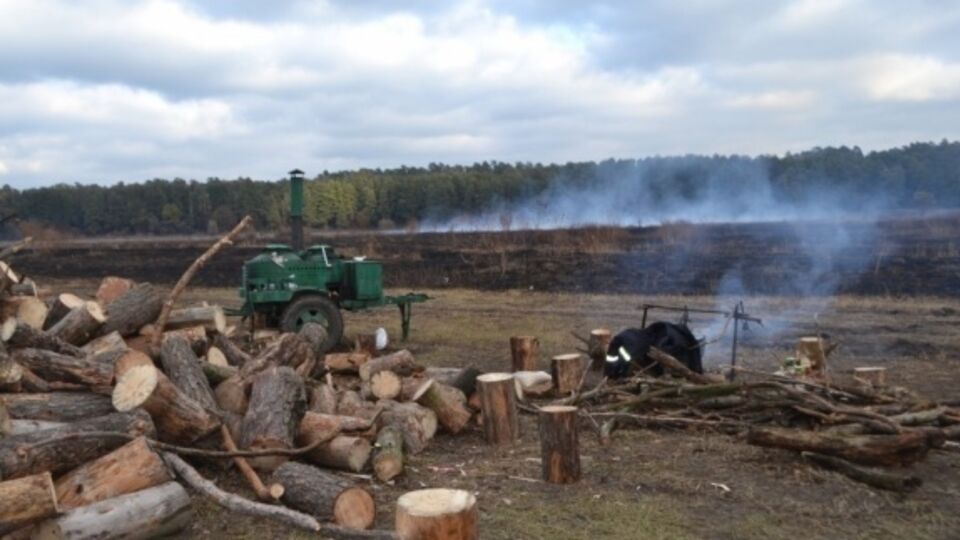 Спасатели продолжают бороться с пожарами в Киевской области