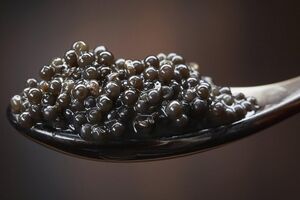 Хабаровские полицейские обнаружили в катафалке полтонны черной икры