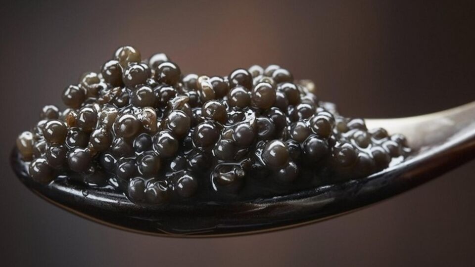 Хабаровские полицейские обнаружили в катафалке полтонны черной икры