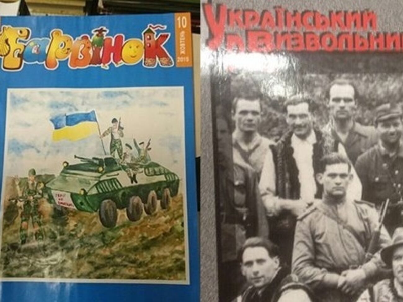 Книги, за которые задержали директора Библиотеки украинской литературы