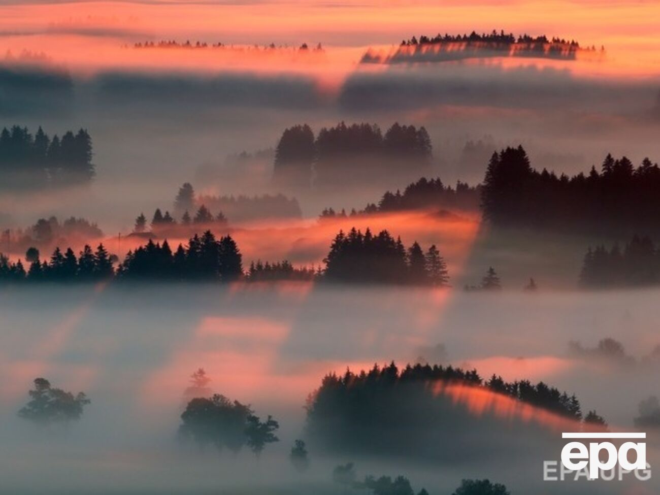 Синоптики предупреждают о сильных туманах