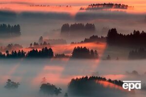 Синоптики предупреждают о сильных туманах