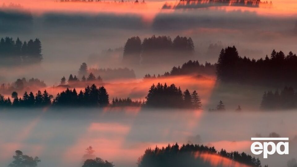 Синоптики предупреждают о сильных туманах