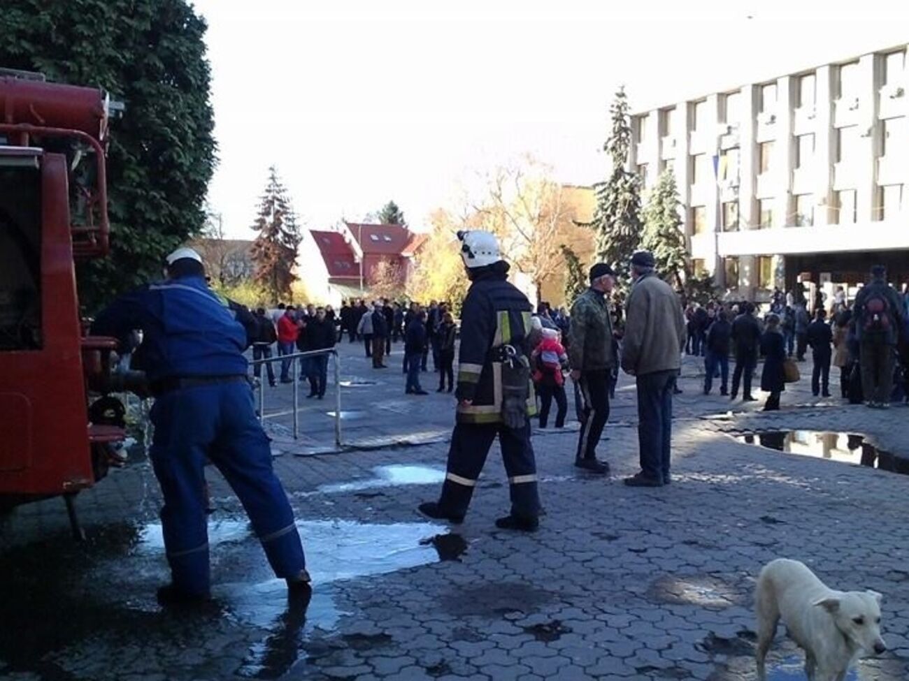 "Минирование" Ужгородского горсовета в очередной раз не подтвердилось