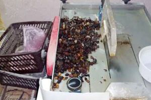 В цеху было изъято около 110 кг необработанного янтаря и свыше 3 кг готовой продукции