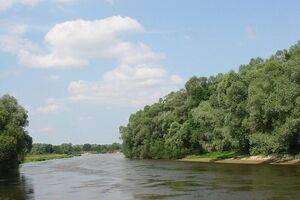 Вероятно, мигранты хотели переплыть реку на автомобильных покрышках