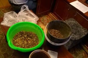 Стоимость найденного янтаря превысила миллион гривен