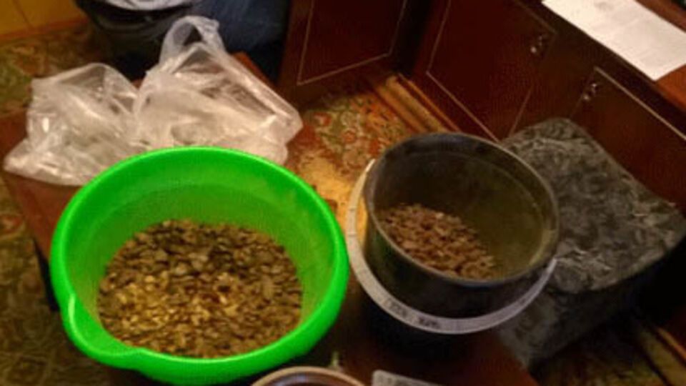 Стоимость найденного янтаря превысила миллион гривен