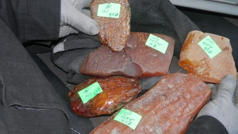 Пограничники изъяли из автомобиля пять камней янтаря