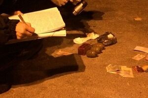 У задержанного обнаружили еще три гранаты и тротиловую шашку