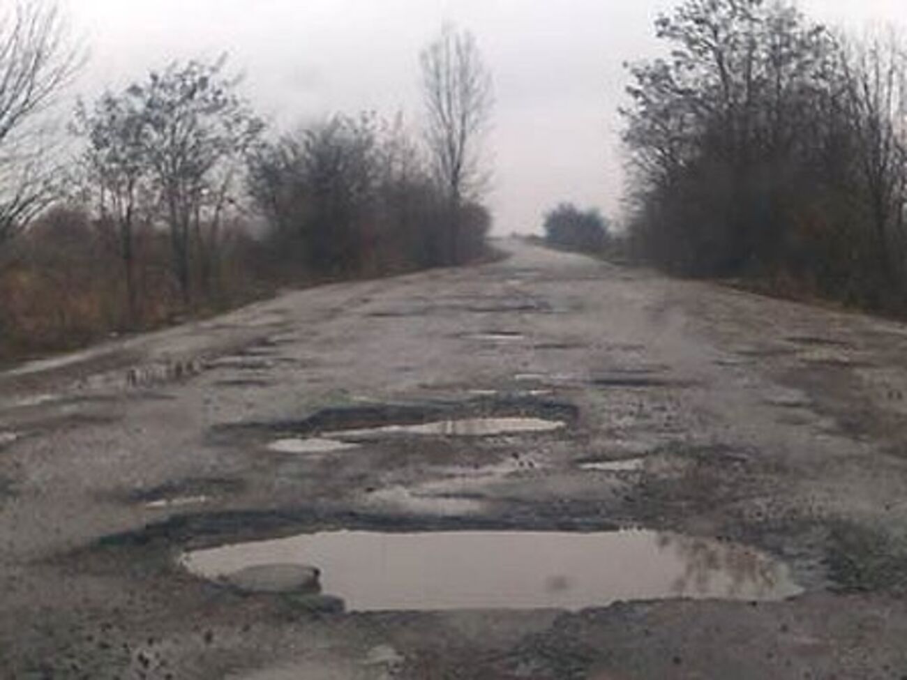 Активист Олексин:&nbsp;Капитальный ремонт трассы после провозглашения независимости Украины не проводился, а текущий ремонт не осуществляется уже пять лет