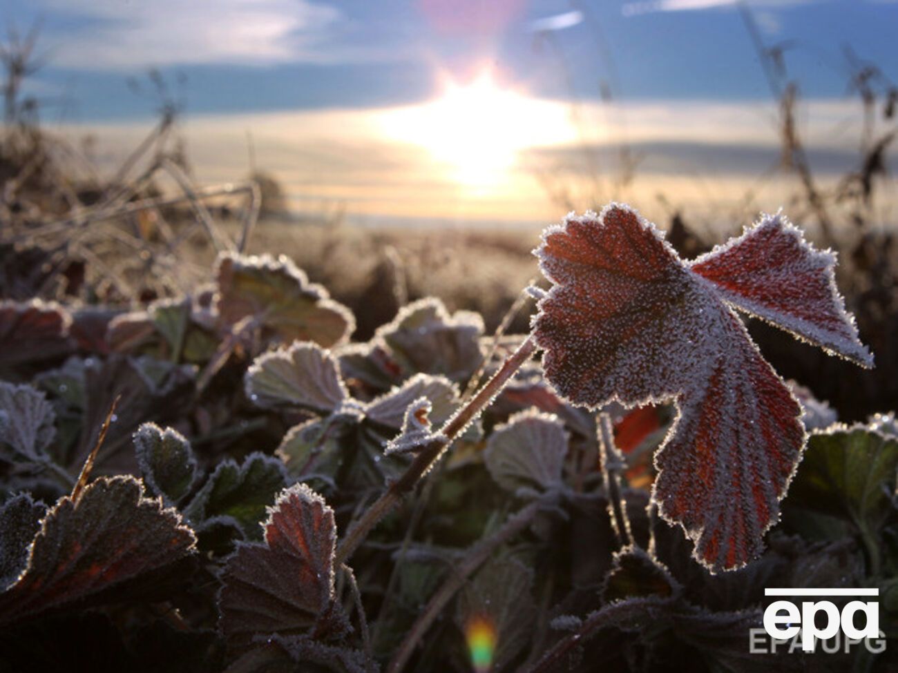 В среду резко похолодает