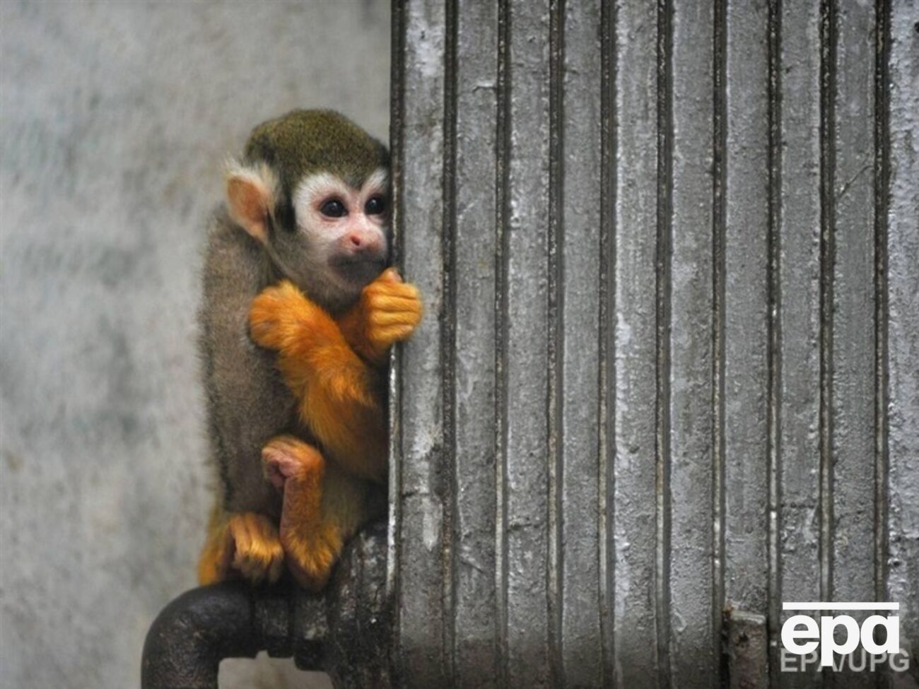 Похолодание не за горами &ndash; киевские власти постепенно начинают отопительный сезон