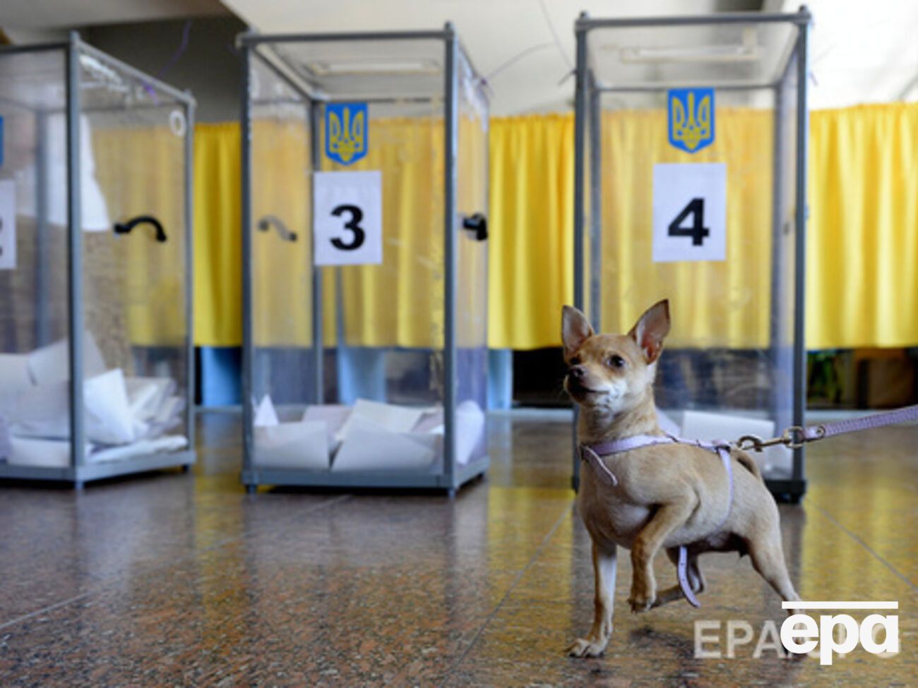 Местные выборы проведет еще "старая" ЦИК, а в преддверии парламентских будет назначена новая,&nbsp; заявил Луценко