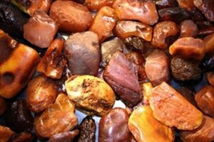 Нарушитель границы пытался вывезти янтарь в тайнике над кабиной грузовика