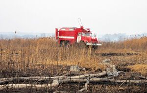 В Полтавской области горят торфяники в четырех районах