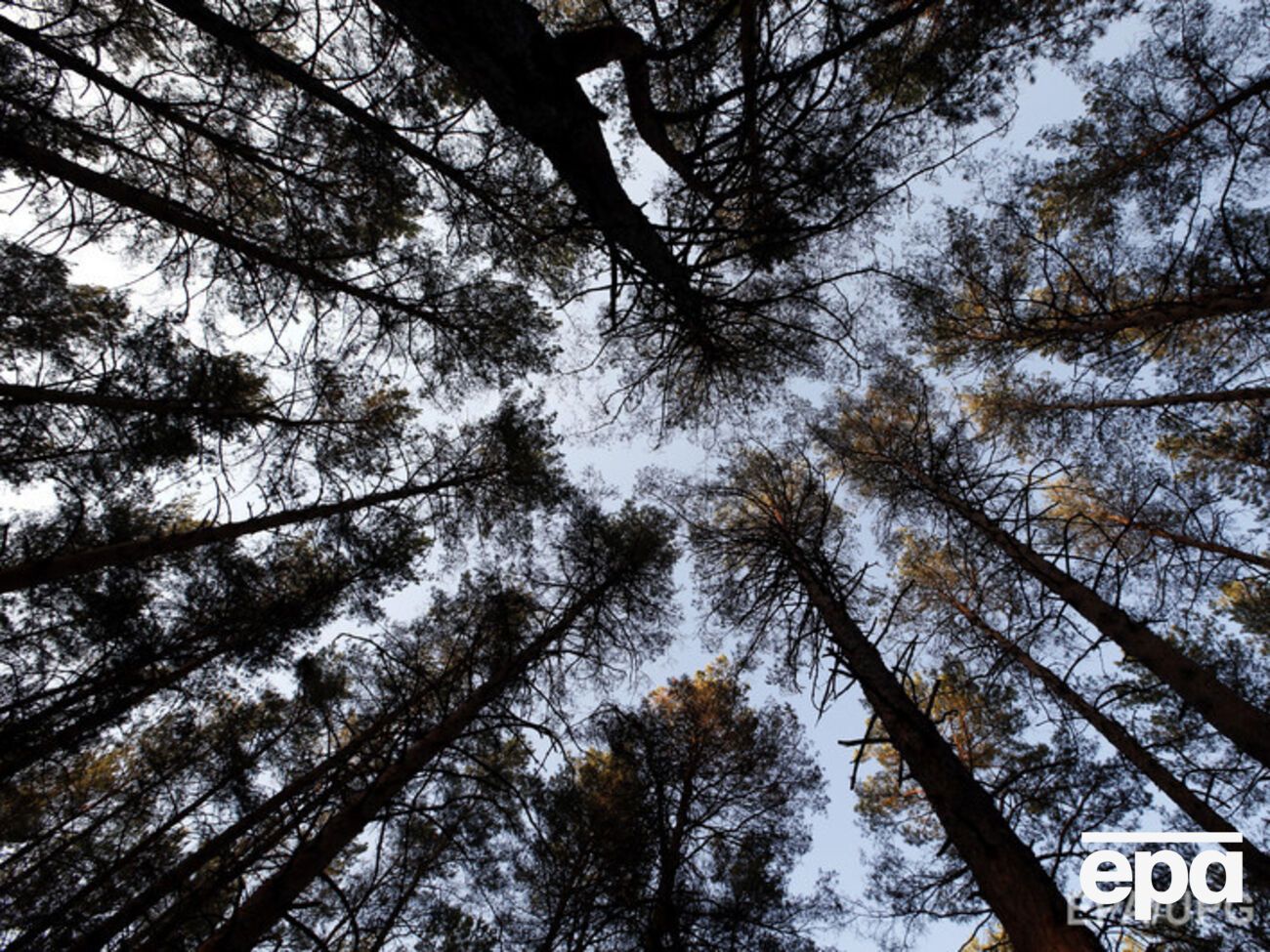 Депутаты хотят усовершенствовать природоохранное законодательство