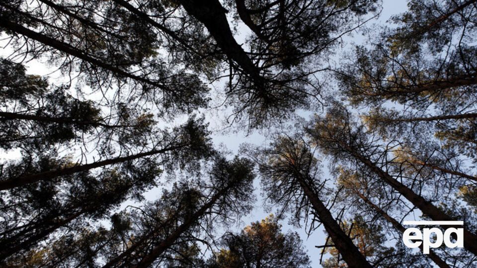 Депутаты хотят усовершенствовать природоохранное законодательство