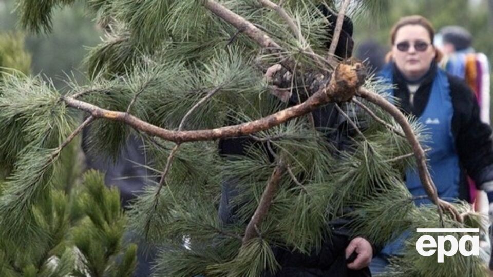 В первую декаду января рабочими будут только три дня