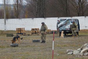 Минобороны: Самодельные взрывные устройства составляют наибольшую опасность при их разминировании или обезвреживании