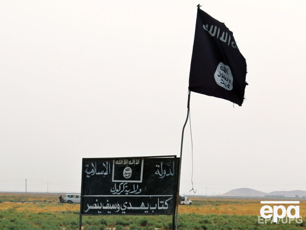 Кузнецов об уровне поддержки ИГИЛ в РФ: Если считать от всех мусульман, это будет примерно 10%