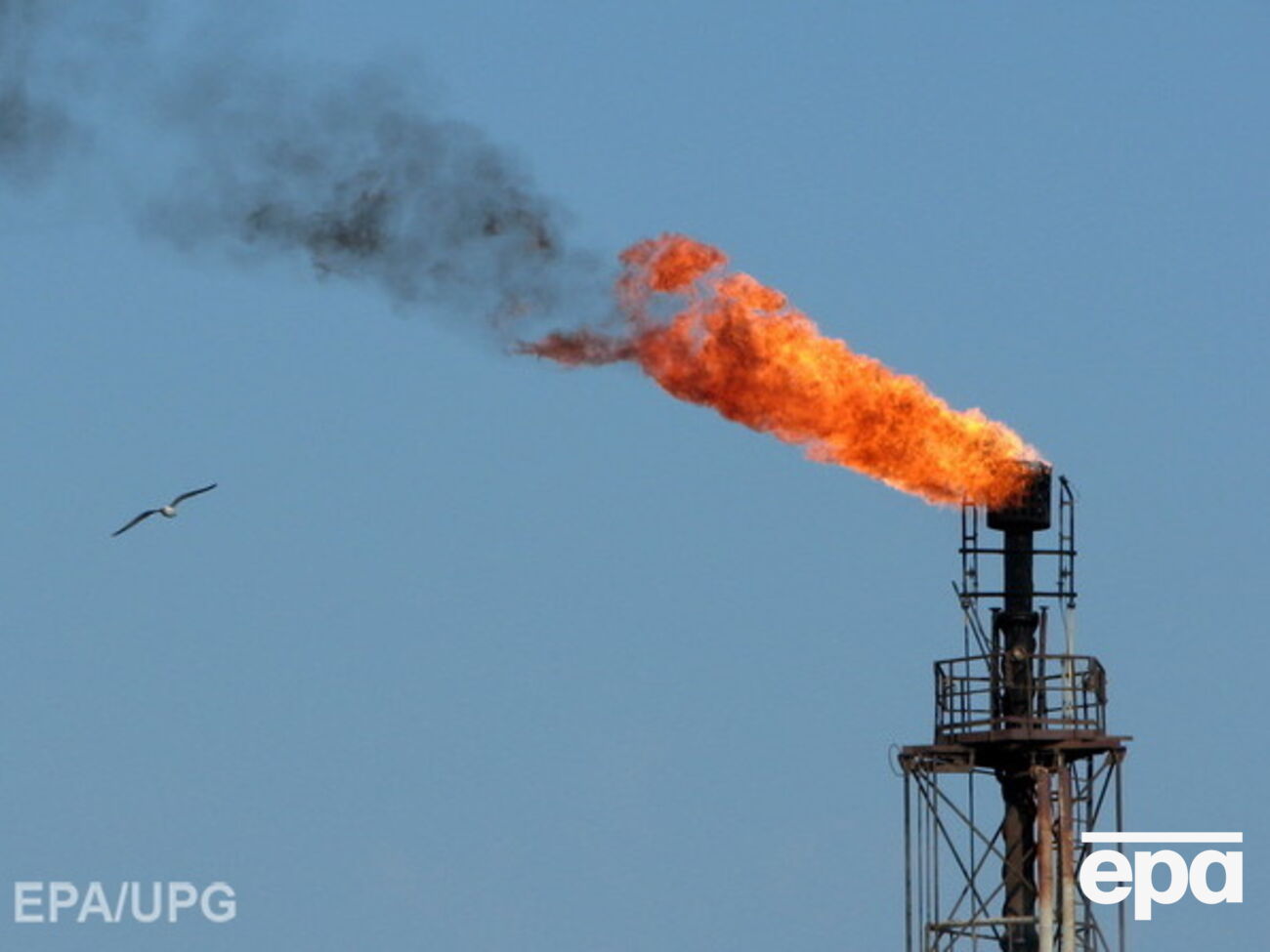 Нефть Brent снова подешевела