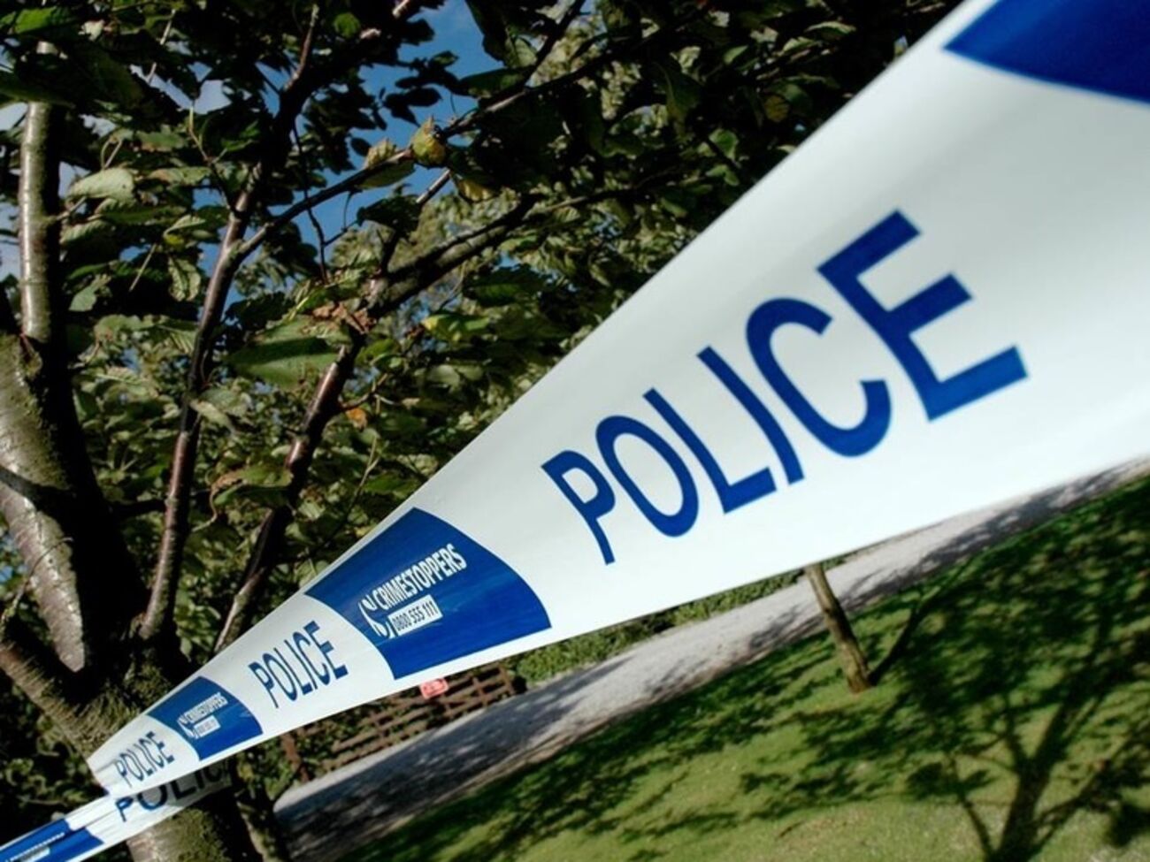 Медики, прибывшие на место аварии, констатировали гибель пилота и пассажиров