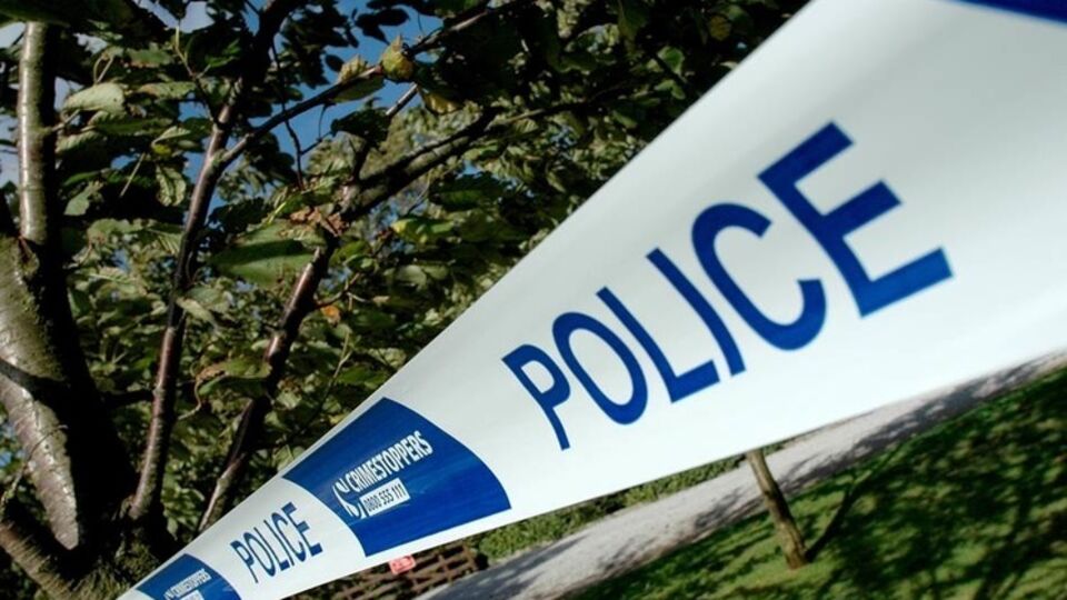 Медики, прибывшие на место аварии, констатировали гибель пилота и пассажиров