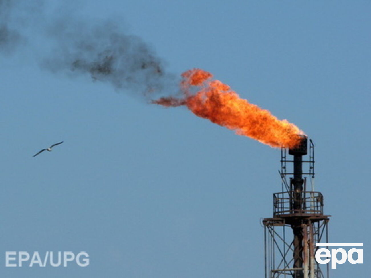 Цена нефти немного выросла