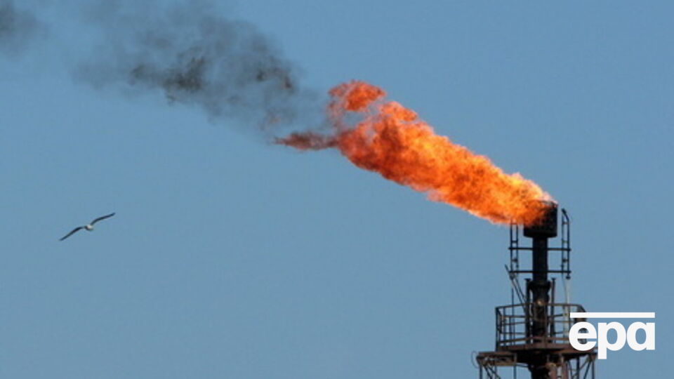 Цена нефти немного выросла