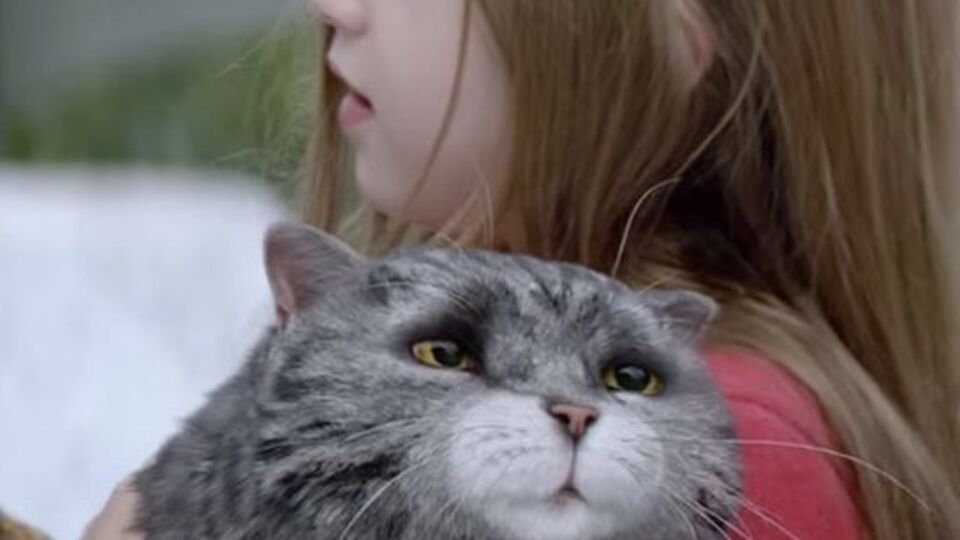 Кот Маг в рекламном ролике устроил настоящий погром