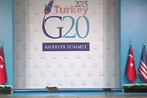 Коты на саммите затмили лидеров "Большой двадцатки"