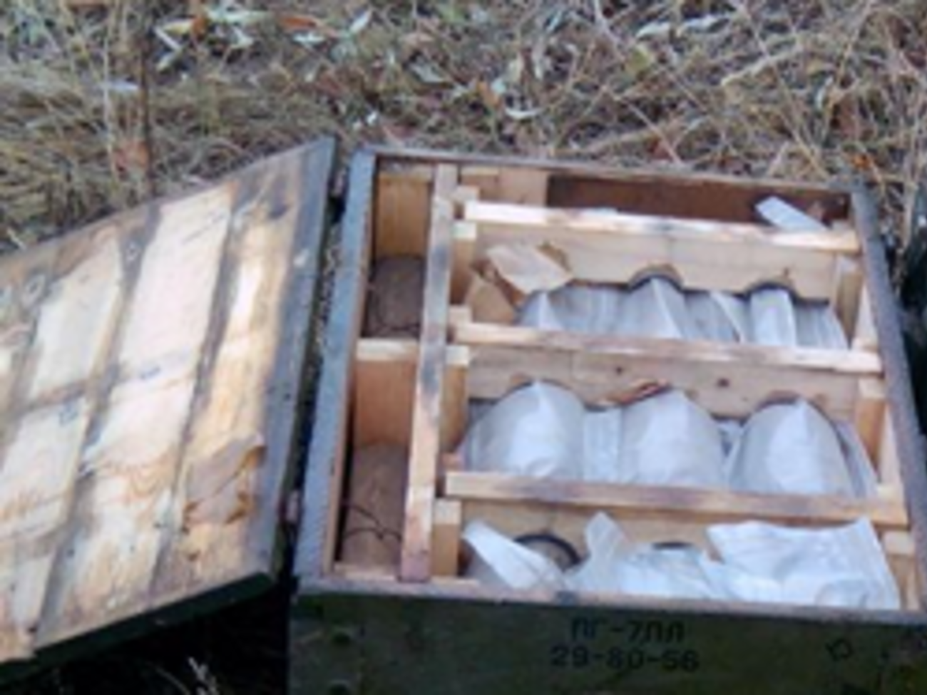 Неподалеку от тайника были обнаружены четыре гранаты