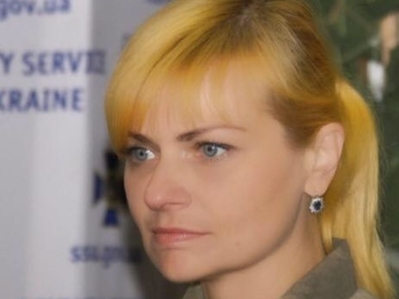 Елена Гитлянская сообщила о задержании агента ФСБ