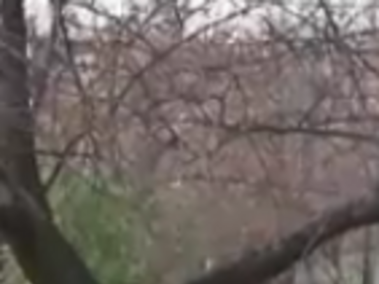 "Нас в Украине никто не ждет". Жители Донецка рассказали, зачем им российские паспорта. Видео