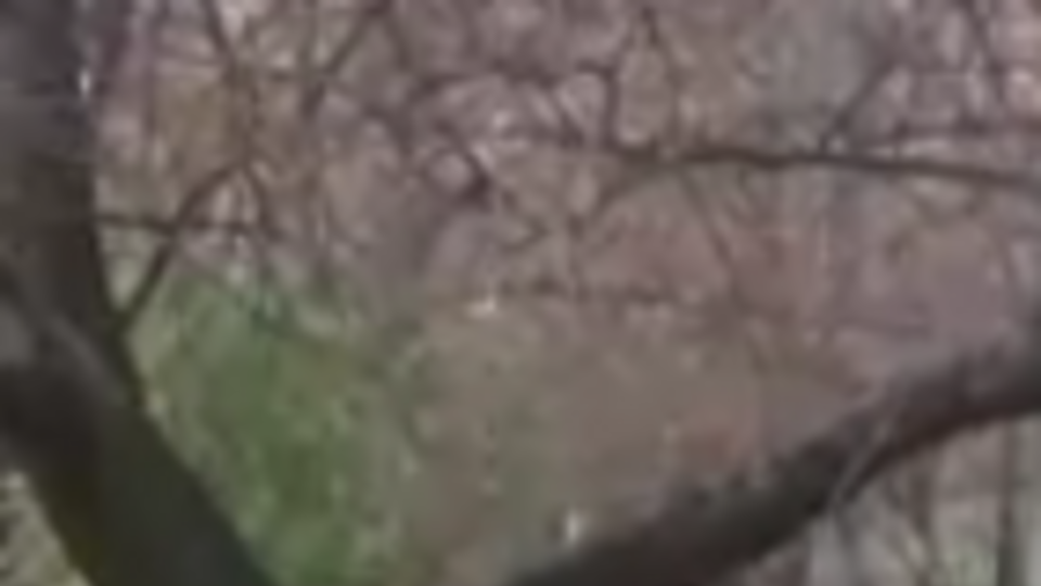 "Нас в Украине никто не ждет". Жители Донецка рассказали, зачем им российские паспорта. Видео