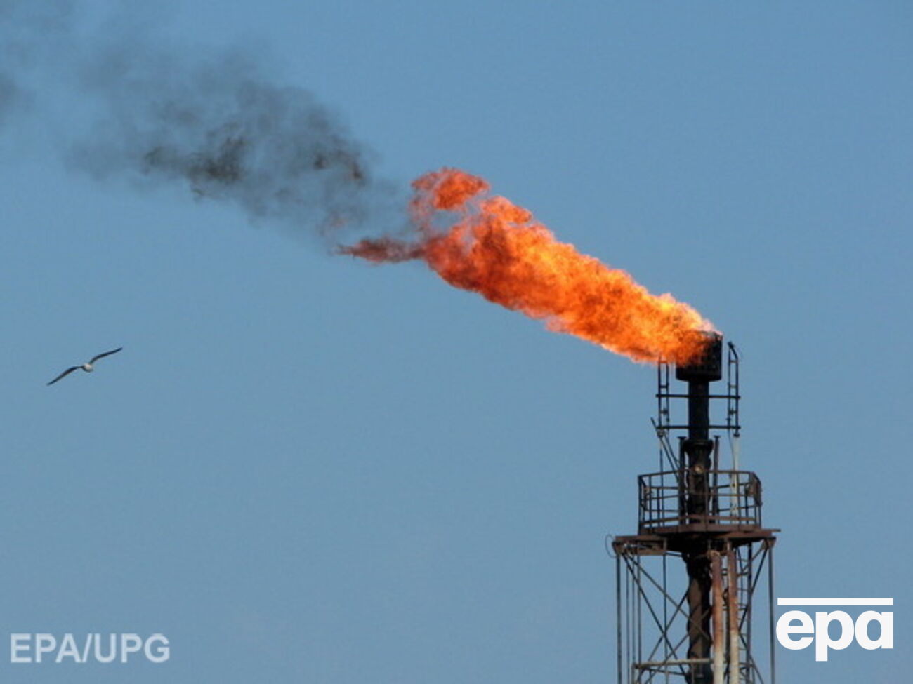 Аналитики Goldman Sachs прогнозируют снижение цен на нефть