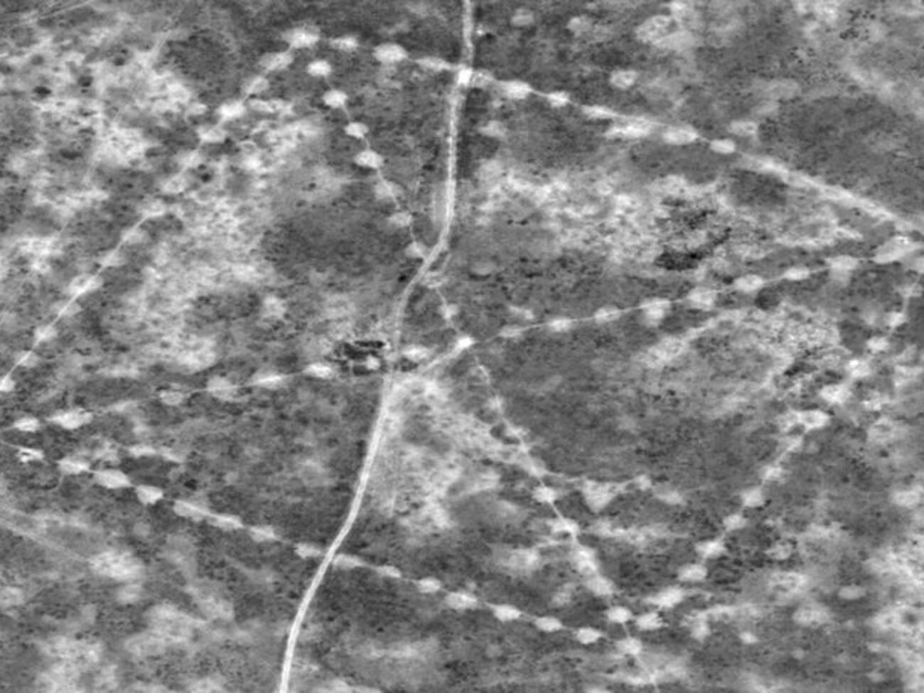 Странные узоры обнаружили в степях Казахстана