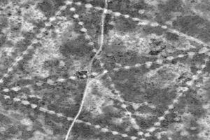 Странные узоры обнаружили в степях Казахстана