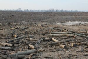 Спасатели обследуют зону эпицентра взрыва на складах в Сватово. Фоторепортаж