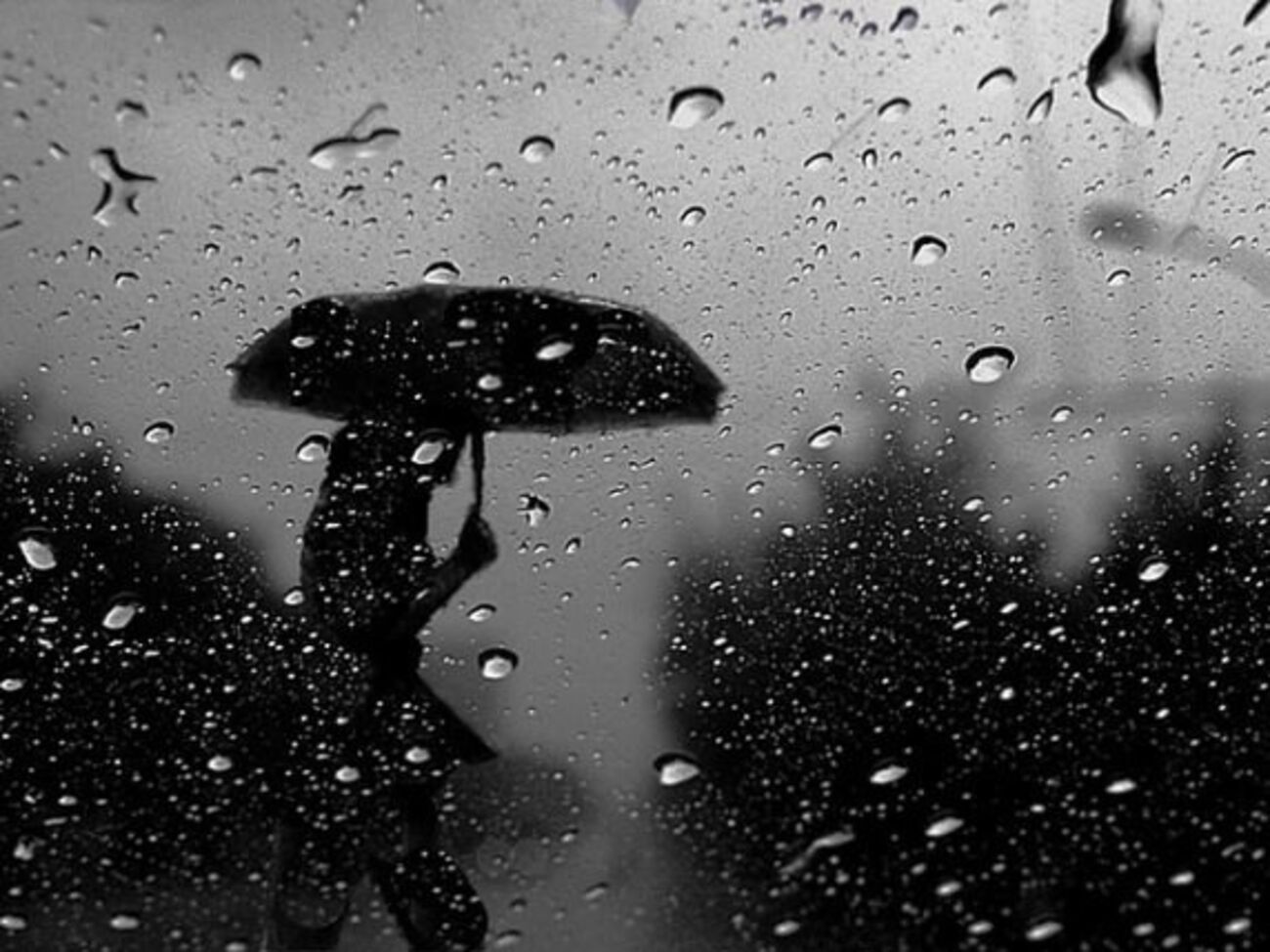 ГСЧС: В&nbsp;Карпатском регионе 21---22 ноября ожидается сильный дождь и мокрый снег, в Закарпатье &ndash; очень сильный дождь