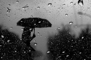 ГСЧС: В Карпатском регионе 21---22 ноября ожидается сильный дождь и мокрый снег, в Закарпатье – очень сильный дождь