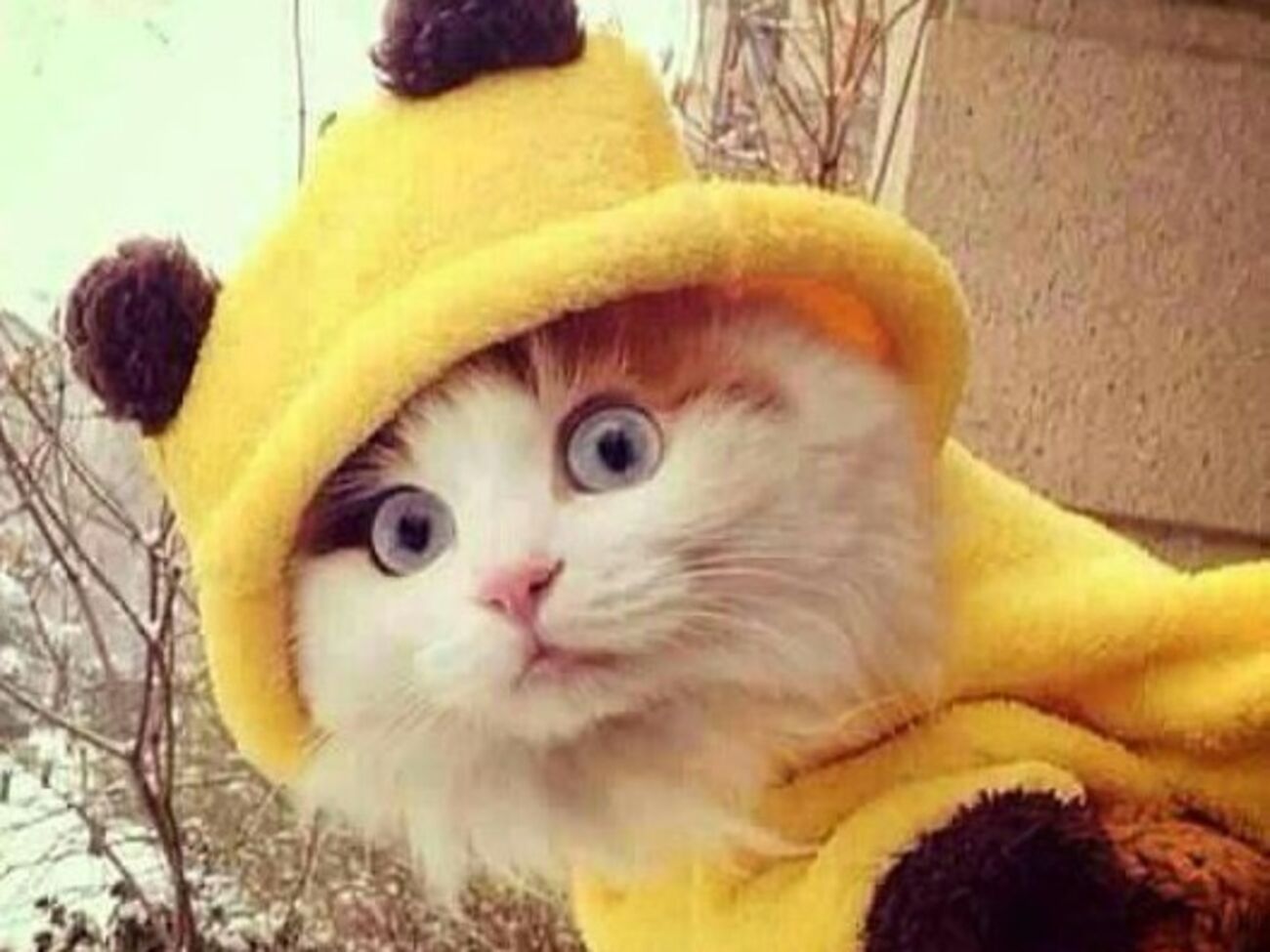 Изображения сопровождаются хештегом #BrusselsLockdown