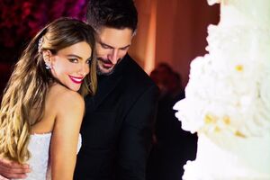 Роман Вергары и Манганьелло начался летом 2015 года