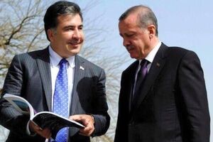 Саакашвили высказал почтение Турции, осмелившейся сбить российский бомбардировщик