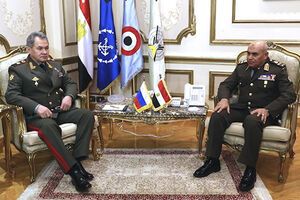 Шойгу подтвердил, что катастрофу авиалайнера А321 организовали террористы ИГИЛ